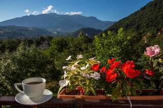 Отель Transylvanian Inn Бран-7